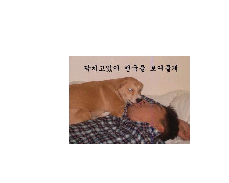 7.JPG